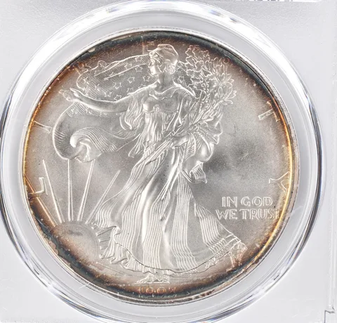 1993 American Silver Eagle MS69 PCGS Peripheral Tone *1137