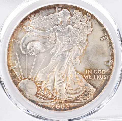 2002 American Silver Eagle MS66 PCGS Beautiful Tone *1416