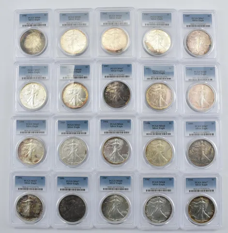 Lot (20) Nice Tone American Silver Eagle PCGS Holder *2878