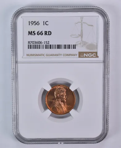 1956 Lincoln Wheat Cent MS66 RD NGC Brown Label