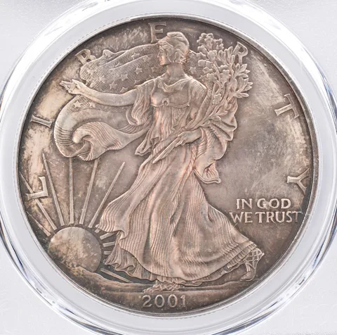 2001 American Silver Eagle MS66 PCGS Beautiful Tone *1433