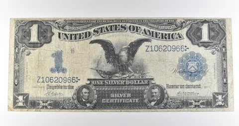 1899 $1 Silver Certificate Large Note Blue Seal *3623