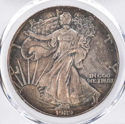 1989 American Silver Eagle MS65 PCGS Beautiful Tone *1456