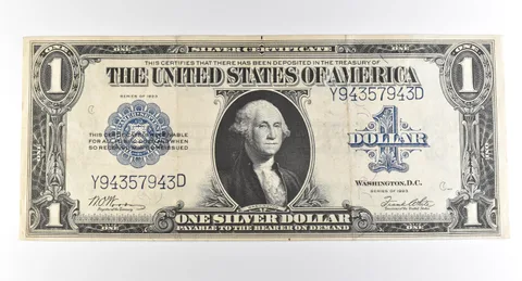 1923 $1 Silver Certificate Large Note Blue Seal *3704