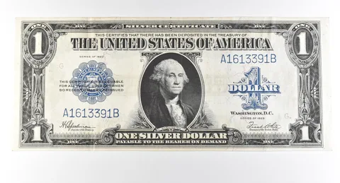 1923 $1 Silver Certificate Large Note Blue Seal *2975