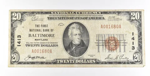 1929 $20 Baltimore MD National Currency Ch#1413 *5608