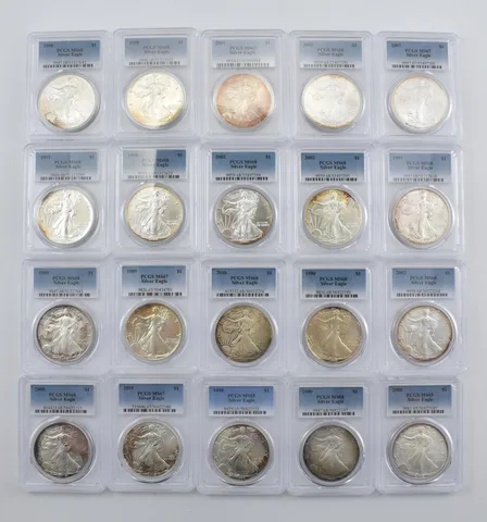 Lot (20) Nice Tone American Silver Eagle PCGS Holder *2892