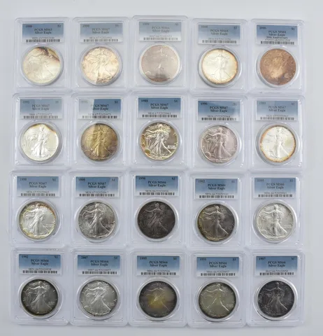 Lot (20) Nice Tone American Silver Eagle PCGS Holder *2880