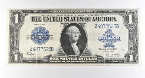 1923 $1 Silver Certificate Large Note Blue Seal *3011