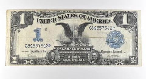 1899 $1 Silver Certificate Large Note Blue Seal *2867
