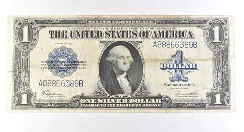1923 $1 Silver Certificate Large Note Blue Seal *2984