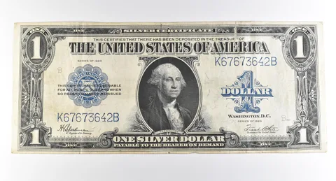 1923 $1 Silver Certificate Large Note Blue Seal *3685