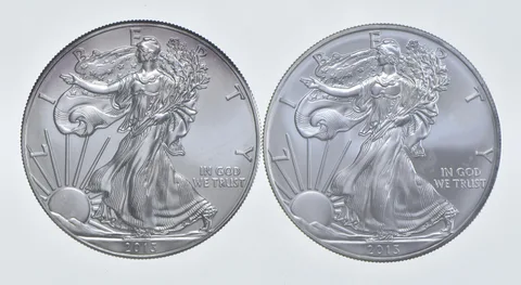 2013 - 2013 American Silver Eagle 1 T Oz .999 Lot of 2 *256