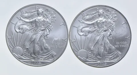 2009 - 2009 American Silver Eagle 1 T Oz .999 Lot of 2 *236