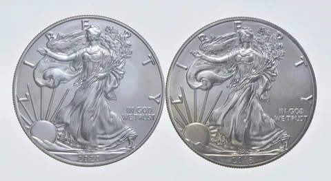 2020 - 2016 American Silver Eagle 1 T Oz .999 Lot of 2 *257
