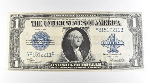 1923 $1 Silver Certificate Large Note Blue Seal *3973