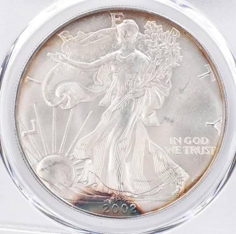 2002 American Silver Eagle MS66 PCGS Beautiful Tone *1399