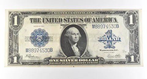 1923 $1 Silver Certificate Large Note Blue Seal *2993