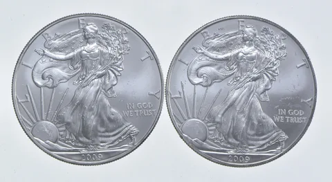 2009 - 2009 American Silver Eagle 1 T Oz .999 Lot of 2 *235