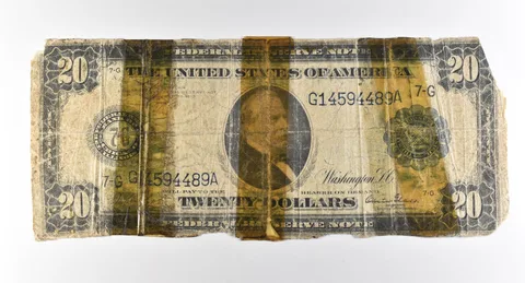 1914 $20 Chicago IL FRN Large Note Blue Seal *2816