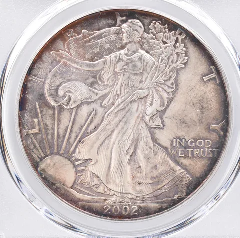 2002 American Silver Eagle MS64 PCGS Beautiful Tone *1487