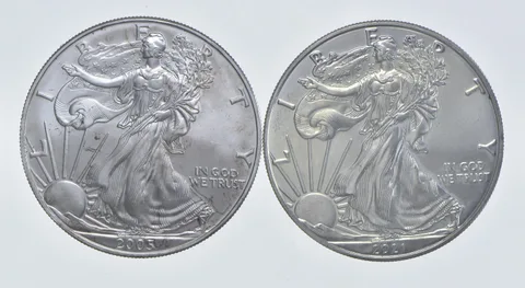 2005 - 2021 American Silver Eagle 1 T Oz .999 Lot of 2 *254