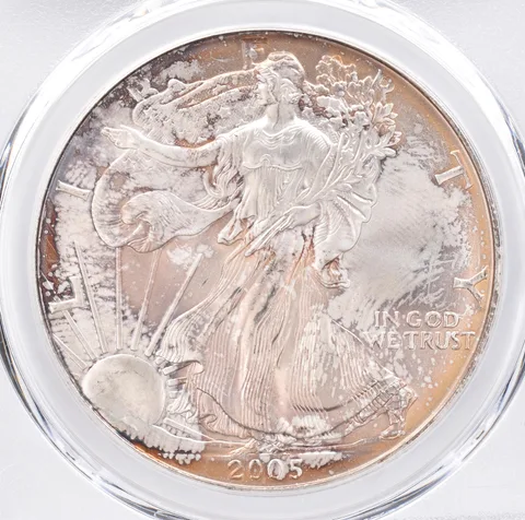 2005 American Silver Eagle MS66 PCGS Beautiful Tone *1401