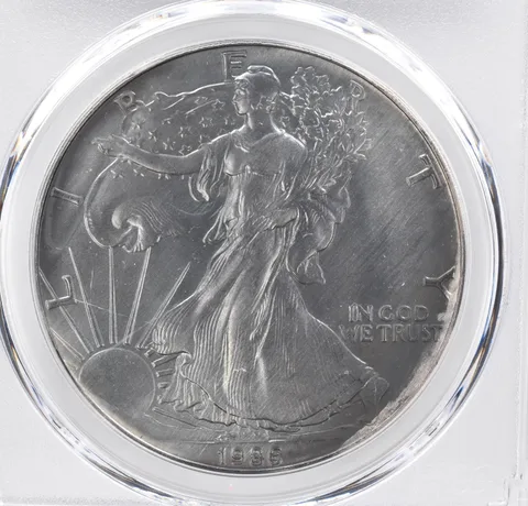 1986 American Silver Eagle MS69 PCGS Beautiful Tone *1142