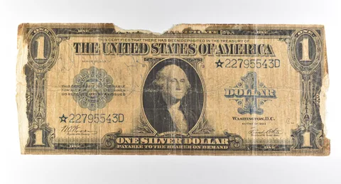 1923 $1 Silver Certificate Star Note Large Note Blue Seal *2904