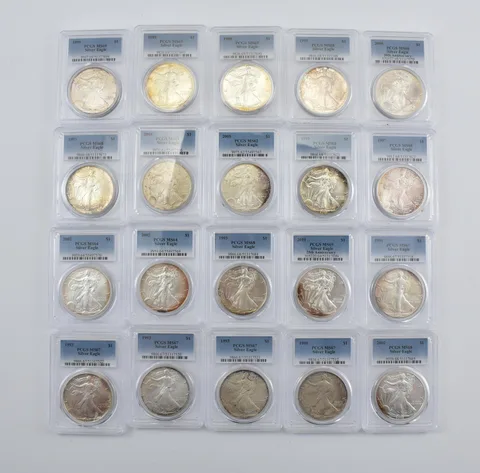 Lot (20) Nice Tone American Silver Eagle PCGS Holder *2902