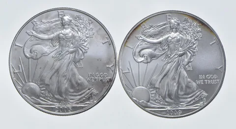 2005 - 2009 American Silver Eagle 1 T Oz .999 Lot of 2 *248