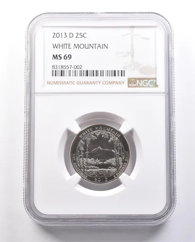 2013-D Washington Quarter White Mountain MS69 NGC *0022