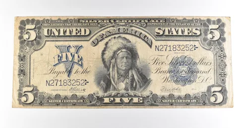 1899 $5 Silver Certificate Large Note Blue Seal Chief *2766