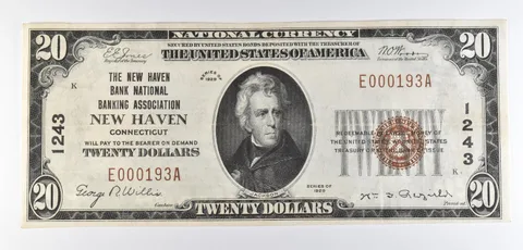 1929 $20 National Currency New Haven CT Ch#1243 Brown Seal *4648