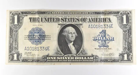1923 $1 Silver Certificate Large Note Blue Seal *3695