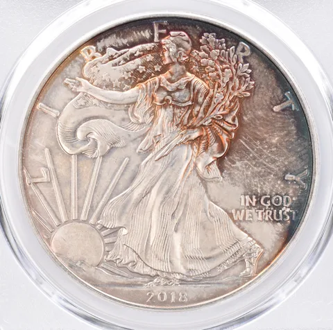 2018 American Silver Eagle MS66 PCGS Beautiful Tone *1388
