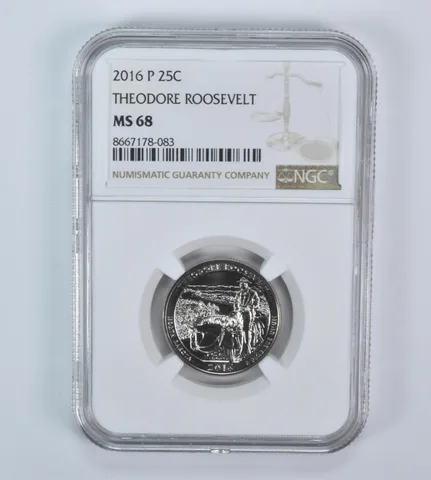 2016-P Washington Quarter ATB Theodore Roosevelt MS68 NGC