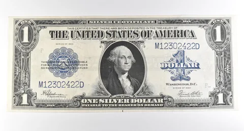 1923 $1 Silver Certificate Large Note Blue Seal *3702