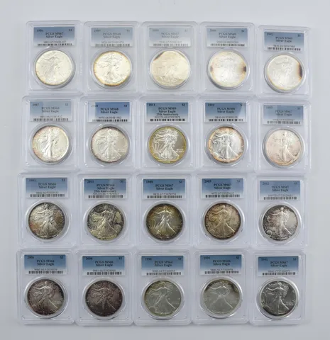 Lot (20) Nice Tone American Silver Eagle PCGS Holder *2881