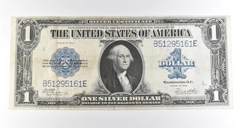 1923 $1 Silver Certificate Large Note Blue Seal *3698