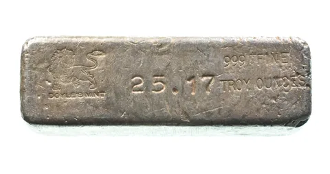 25.17 Troy Oz Silver Bar Doyle Mint *2595