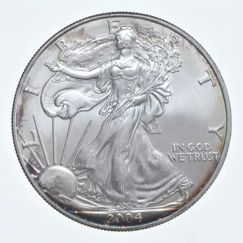 Beautiful Toned - 2004 American Silver Eagle 1 Troy Oz .999 Fine Silver *960
