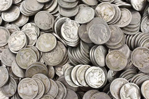 (40) Mostly 1930's Some 1920's Full Date Buffalo Nickels ROLL