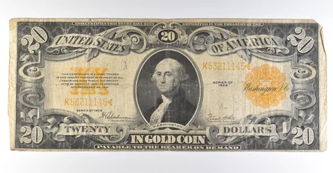 1922 $20 Gold Certificate Large Note Yellow Seal *8336