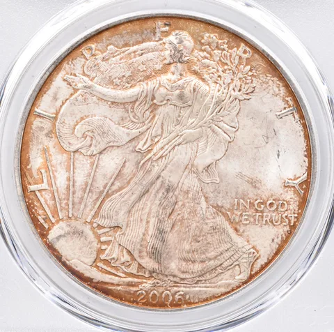 2006 American Silver Eagle MS63 PCGS Beautiful Tone *1506