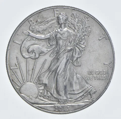 Better Date 2013 American Silver Eagle 1 Troy Oz .999 Fine Silver *496