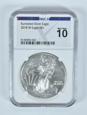 2018-W Burnished Silver Eagle Mint State 10 NGC X NGCX