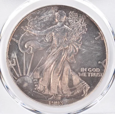 1993 American Silver Eagle MS66 PCGS Beautiful Tone *1410