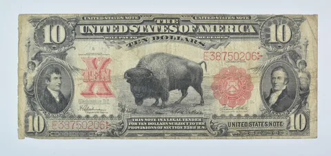 1901 $10 US Note Large Note Red Seal *9300