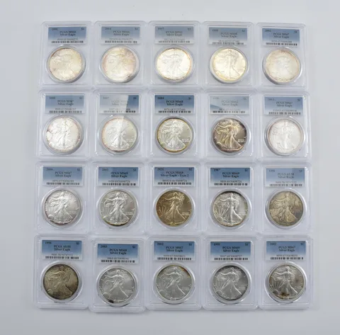 Lot (20) Nice Tone American Silver Eagle PCGS Holder *2899